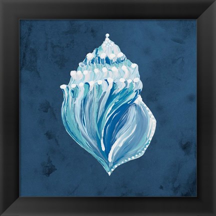 Framed Azul Dotted Seashell on Navy II Print
