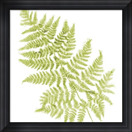 Framed Fresh Print