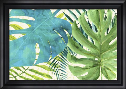 Framed Rainforest Canopy Print
