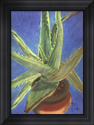 Framed Aloe Vera Print