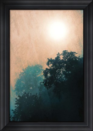 Framed Jungle Canopy At Sunset Print