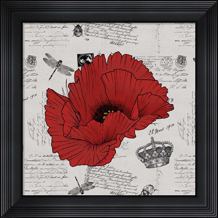 Framed Vintage Ephemera Large Poppy Print