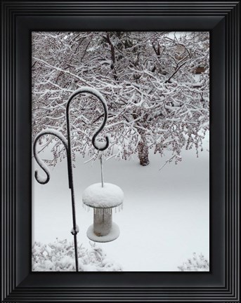 Framed No Birds Today Print