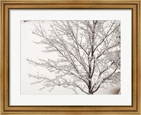 Framed Winter Serenity Print