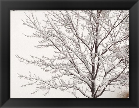 Framed Winter Serenity Print