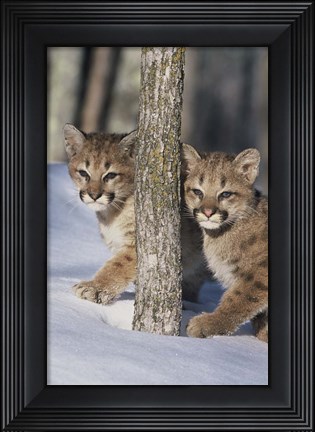 Framed Clones Print