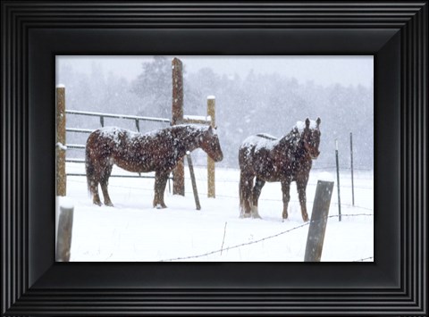 Framed Snowy Corral Print