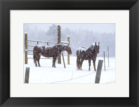 Framed Snowy Corral Print