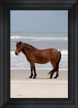Framed Beach Bum Print