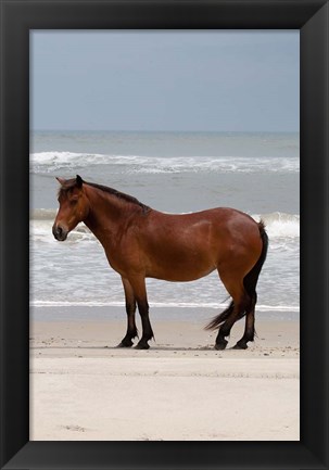 Framed Beach Bum Print