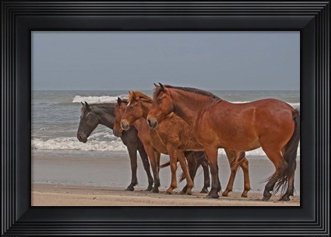 Framed Four Abreast Print