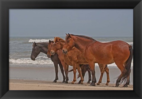 Framed Four Abreast Print