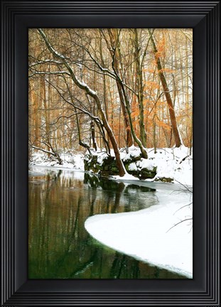 Framed Serene Creek Print