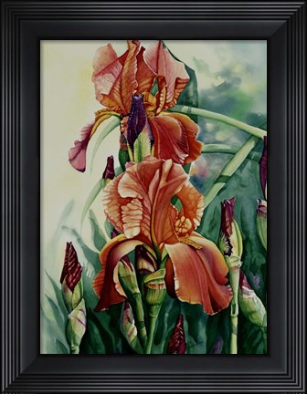 Framed Iris Print