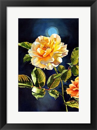 Framed Once in a Blue Moon Print