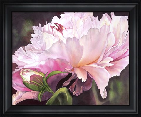 Framed SumHom Print