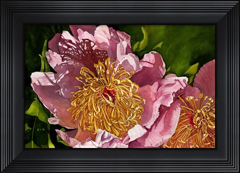 Framed Summer Shadows Print
