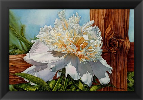 Framed White Flower Print