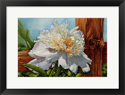 Framed White Flower Print