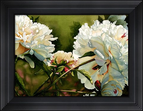 Framed Winter White Peony Print