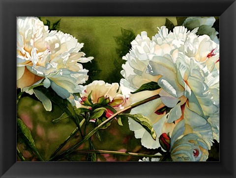 Framed Winter White Peony Print