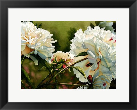 Framed Winter White Peony Print