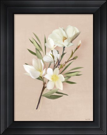 Framed Spring Magnolias Print