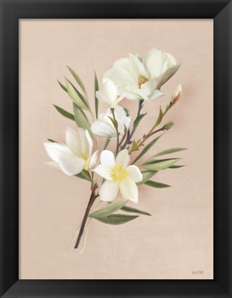 Framed Spring Magnolias Print