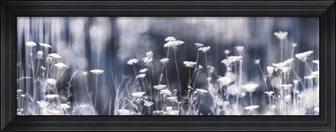Framed Summer Dreams Print