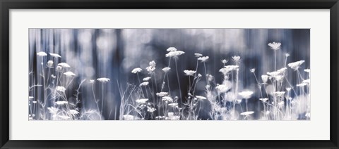 Framed Summer Dreams Print