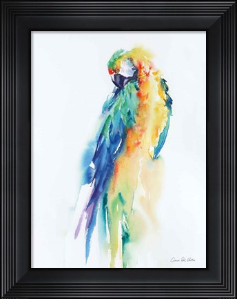 Framed Colorful Parrots II Print