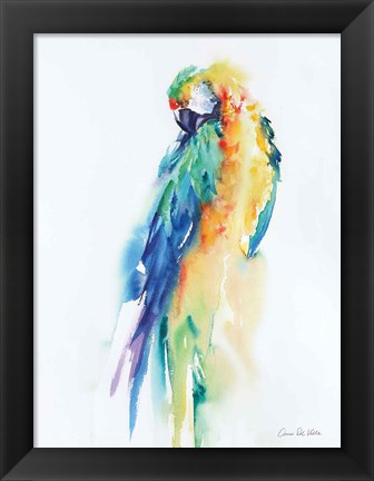 Framed Colorful Parrots II Print