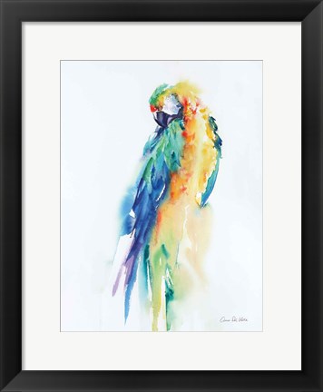 Framed Colorful Parrots II Print