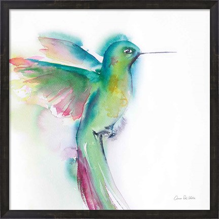 Framed Hummingbirds II Print