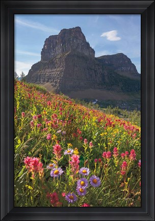 Framed Boulder Pass Wildflowers Print