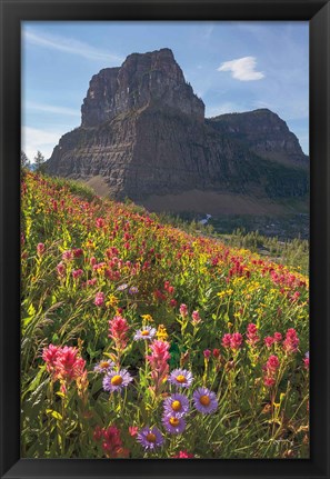 Framed Boulder Pass Wildflowers Print