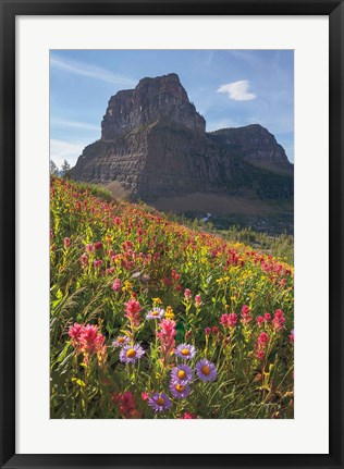 Framed Boulder Pass Wildflowers Print