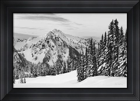 Framed Tatoosh Range BW Print