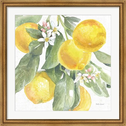 Framed Citrus Charm Lemons II Print