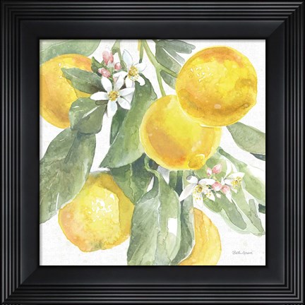 Framed Citrus Charm Lemons II Print