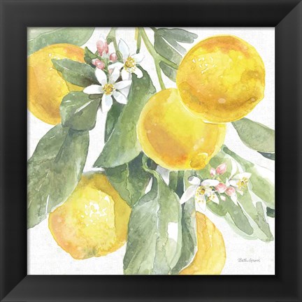 Framed Citrus Charm Lemons II Print