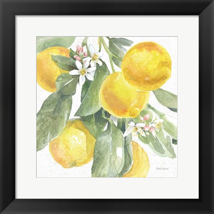 Framed Citrus Charm Lemons II Print