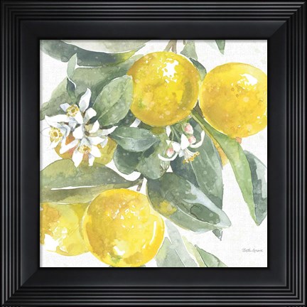 Framed Citrus Charm Lemons I Print