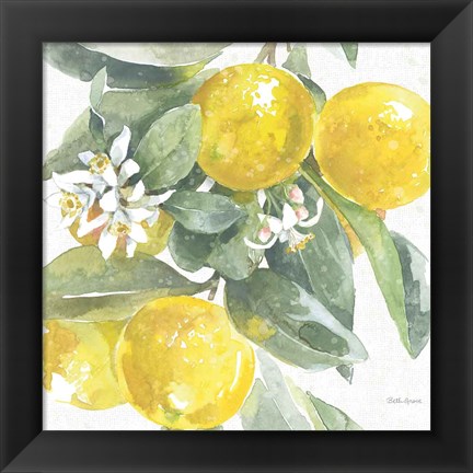 Framed Citrus Charm Lemons I Print