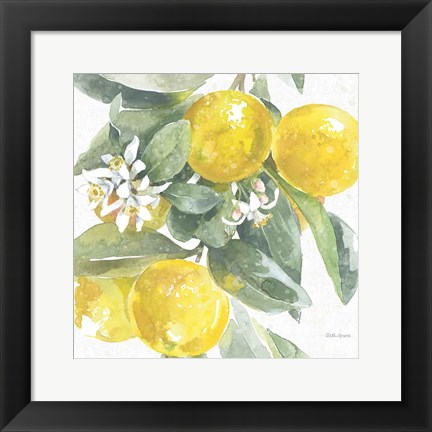 Framed Citrus Charm Lemons I Print