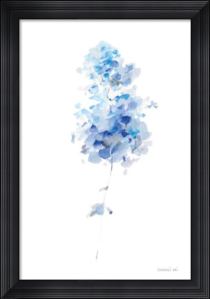 Framed Flower Study II Print