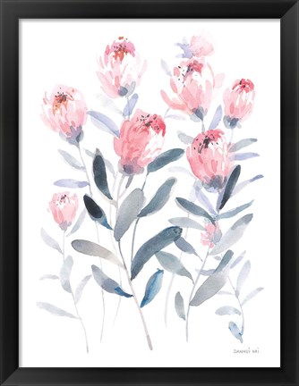 Framed All the Protea Print