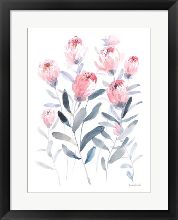 Framed All the Protea Print