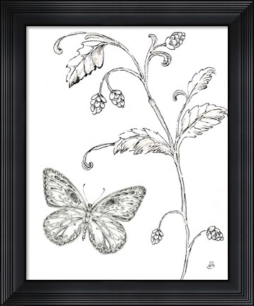 Framed Outdoor Beauties Butterfly II Print