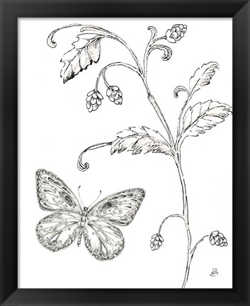 Framed Outdoor Beauties Butterfly II Print
